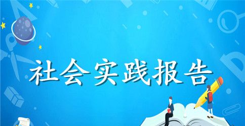 行政管理实践报告范文