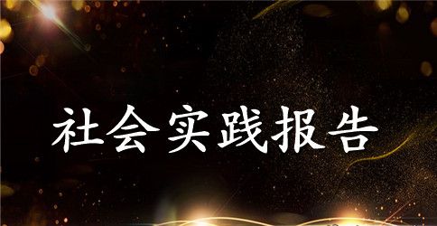 2023年大四学生促销社会实践报告范文
