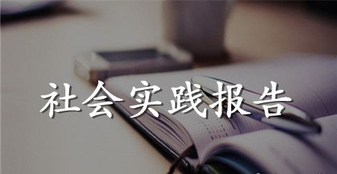 2023年大学生行政文员社会实践报告范文