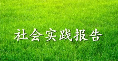 2023年大学生三下乡支教社会实践报告范文