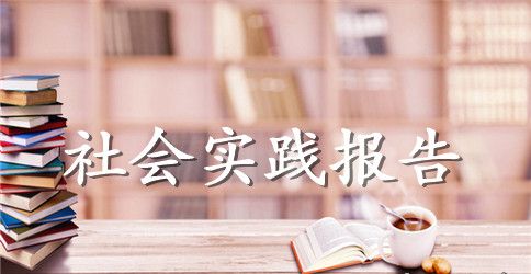 2023年大学生挂职社会实践报告