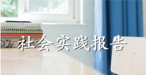 2023年大学生毛概社会实践调查报告1000字