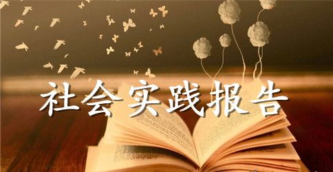 2023年大学生财务预算社会实践报告范文