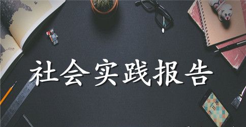 精选学生实践报告4篇