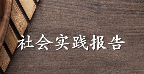 关于学生实践报告锦集八篇