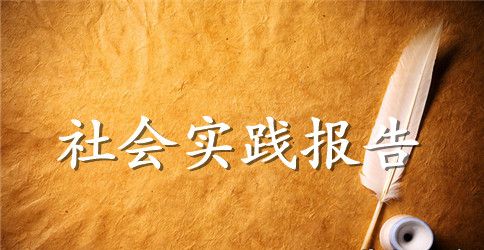 2023年大学生会计社会实践心得体会