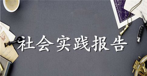 关于学生实践报告五篇