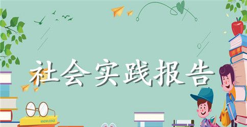 【必备】学生实践报告锦集9篇