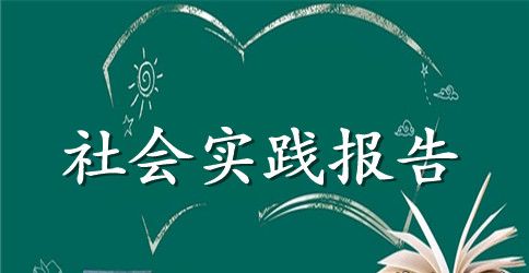 2023年大学生下乡支教社会实践调查报告范文