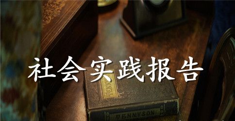 2023年大学生三下乡社会实践调查报告范文