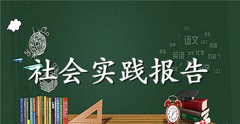 大学生社区社会实践活动报告2023