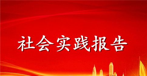 2023年个人社会实践报告范文【优秀】