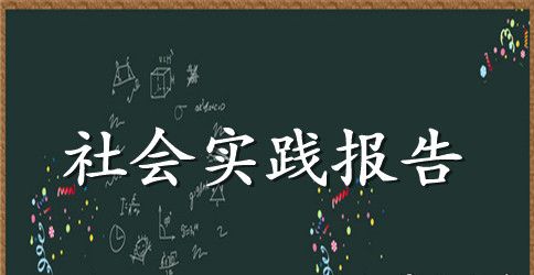 大学生暑期社会实践报告2023年