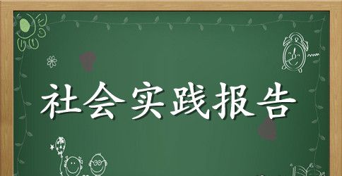 2023年环卫局暑期社会实践报告