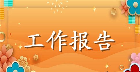 党办个人工作总结