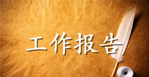 党员干部大会工作报告