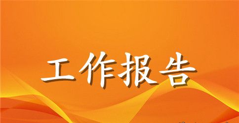 基层党支部工作报告