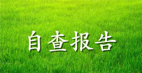 轵城工商所的自查自纠报告