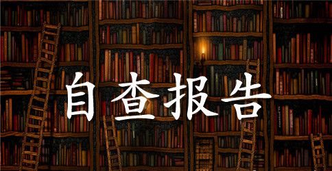 中学年初建账目标落实情况自查报告