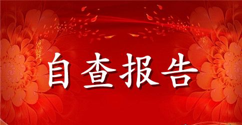 中学师德师风自查报告