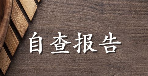 gsp自查报告范文