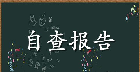 教育工作情况督导评估自查报告