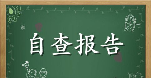 企业自查报告