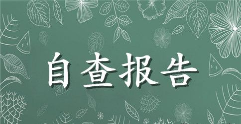企业安全自查报告范文