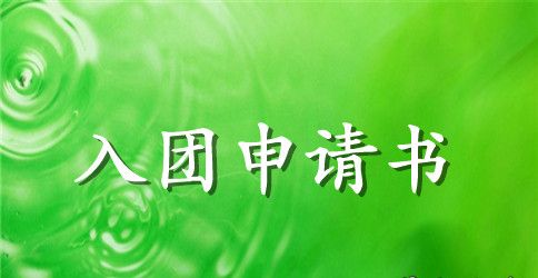 300字九年级入团申请书