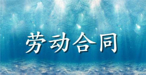 公司劳动合同范文汇编6篇