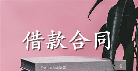 个人借款合同范文8篇