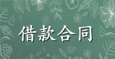 个人小额贷款合同