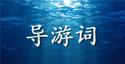 武夷山导游词600字