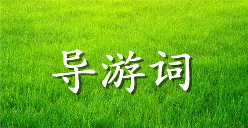 泰山导游词作文350字