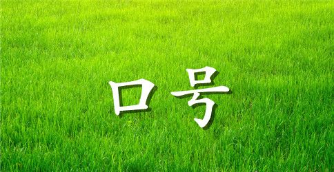 2023年实用的励志标语集锦48句