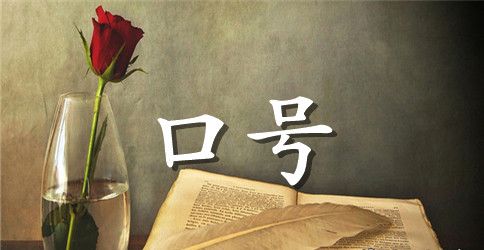 2023年中小学班风口号