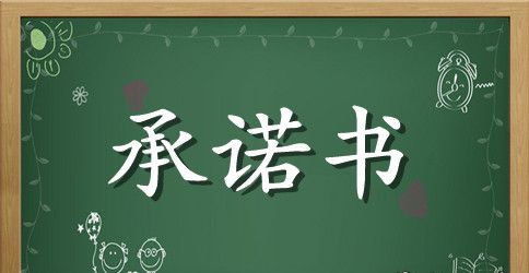 电力安全承诺书范文3篇