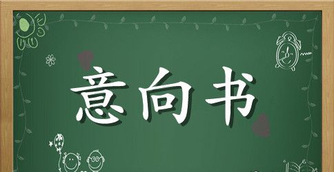 创业意向书范文