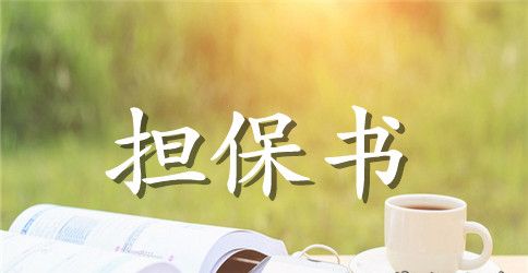 【热门】担保合同范文集锦五篇