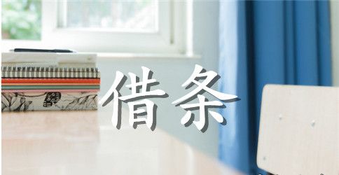 小学生借条范文