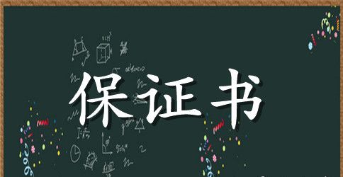 2023技术服务保证书