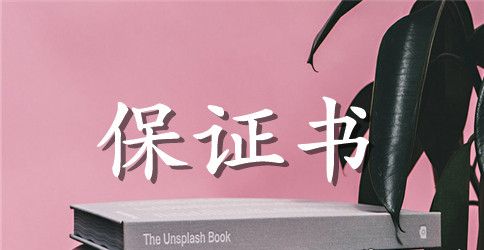 保证书写给老婆的