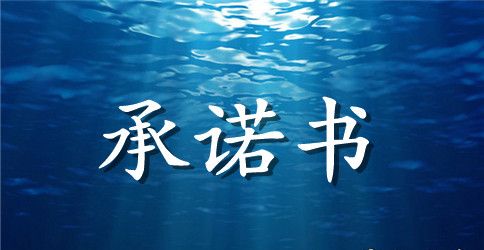 仓库保管安全承诺书