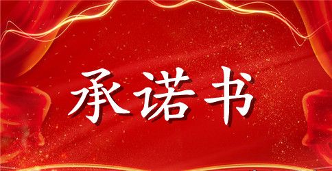 服务承诺书4篇