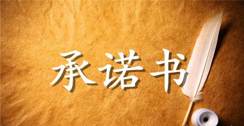 【精华】公司承诺书三篇