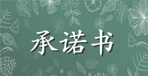机关效能建设个人承诺书