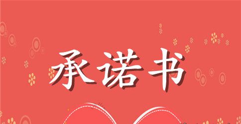 关于安全承诺书范文合集五篇