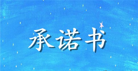 企业诚信承诺书汇编五篇