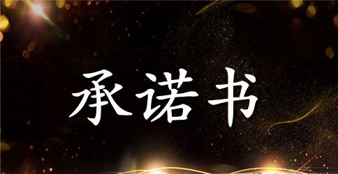 驾驶员春运承诺书(精选4篇)