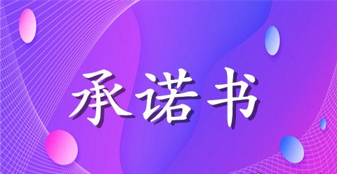 新版效能建设的个人承诺书